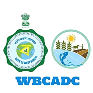 WBCADC