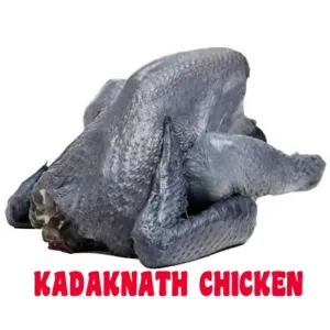 NATURAL KADAKNATH CHICKEN/কড়কনাথ মুরগি মাংস 500gm [WBCADC]
