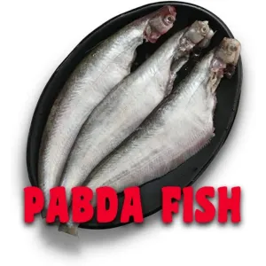 FRESH WATER PABDA FISH/মিষ্ট জলের পাবদা মাছ 500gm [WBCADC]