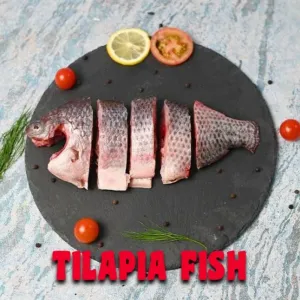 FRESH WATER TILAPIA/মিষ্টি জলের তেলাপিয়া মাছ 500gm [WBCADC] 