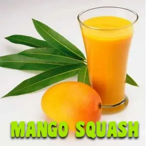 ORGANIC MANGO SQUASH/পোড়া আম পান্না 500ml [TONA]