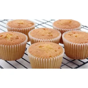 Plain Cupcake