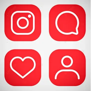 SOCIAL MEDIA SERVICES (followers, likes, etc.)