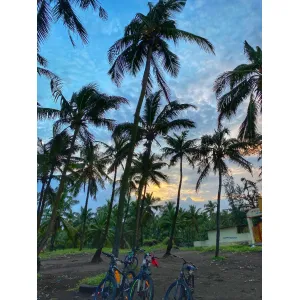 Navapur Beach Morning & Evening Bi-cycle Ride