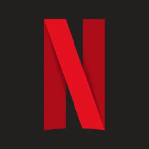 NETFLIX 1 SCREEN {3 MONTH}