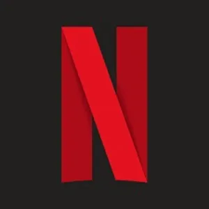 NETFLIX 1SCREEN {1 MONTH}