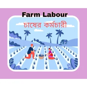 Farm Labour ( চাষের কর্মচারী)