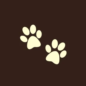 Pet friendly Cakes 