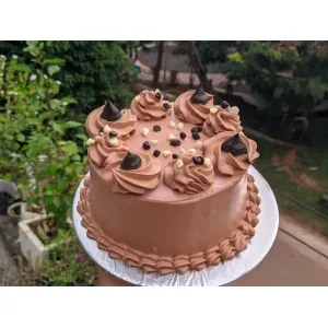 Vibrant Chocolate cake 