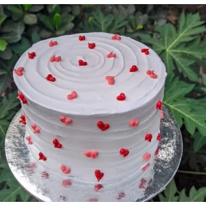 Lil hearts cake 