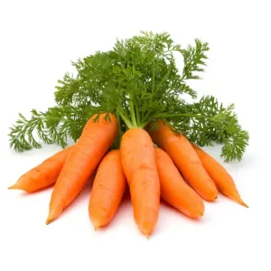 கேரட்/Carrot 