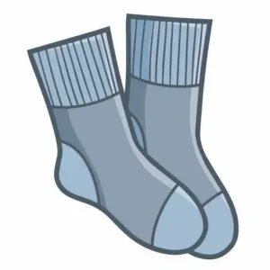 Socks 