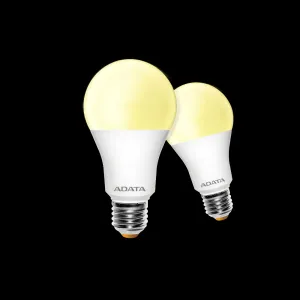 Lighting 