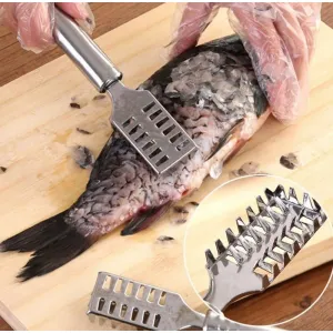 Stainless Steel Fish Scale Remover Scraper - Sawtooth Kitchen Toll 