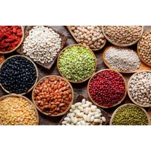 PULSES 