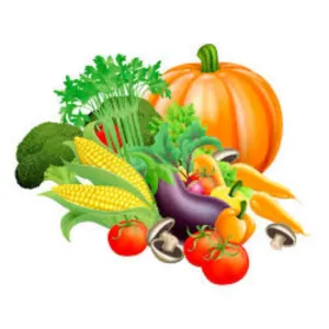 Vegetables 