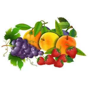 Fruits