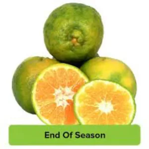Farm Fresh Nagpur Orange 1kg