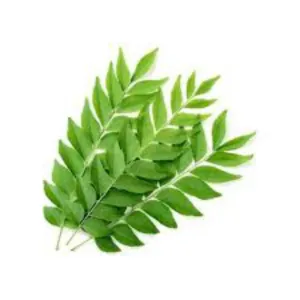 Farm Fresh Curry leaves 100g