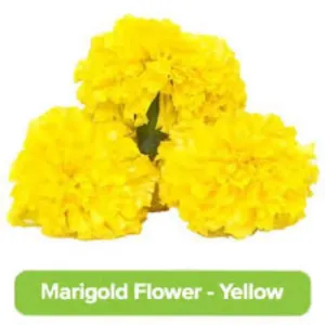 Farm Fresh Marie Gold Flowers Yellow 100g