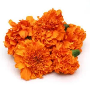 Farm Fresh Marie Gold Flowers - Orange 100g