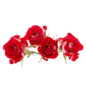 Farm Fresh Cut Roses 100g