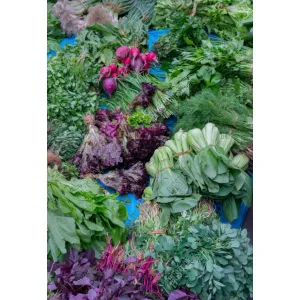 Green Leafy vegetables 