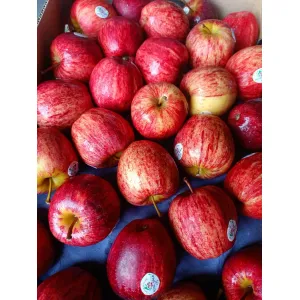 Apple royal