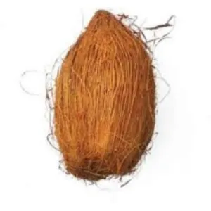 Nariyal/नारियल 