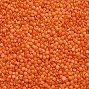 Red Lentils/मसूर दाल /Masur Dal