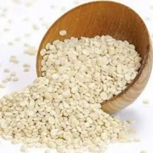 White Urad Dal/सफ़ेद उड़द दाल 
