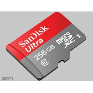 256GB MEMORY CARD C10