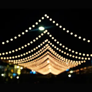 8342 9Mtr Home Decoration Diwali & Wedding LED Christmas String Light Indoor and Outdoor