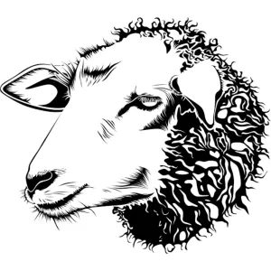 Mutton