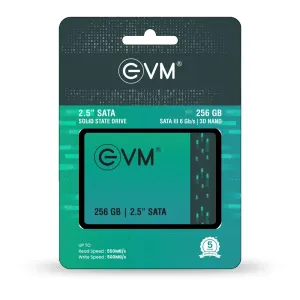 EVM SATA 256GB SSD