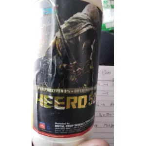 Heero 525