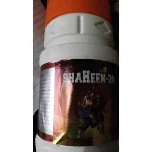 Shaheen20