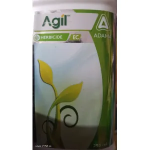 Agil