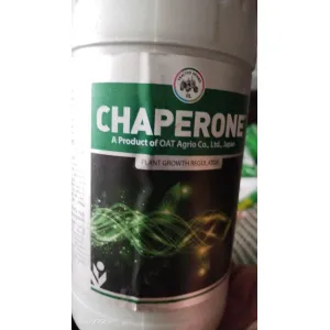 Chaperone 