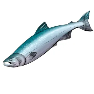 FRESH RAW FISH & SEAFOOD
