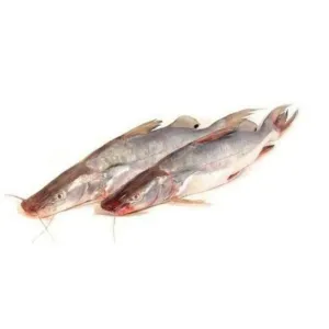 AAR/DESI SINGHARA(দেশি সিঙ্গারা)upto 1Kg SIZE(Bengali Cut)