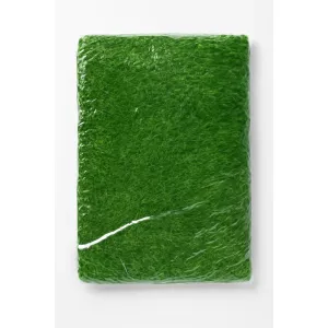 Glass Door mat