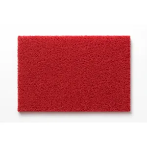 Red Door Mat 