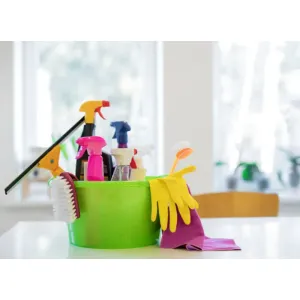 Home Hygiene