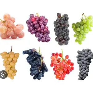 Grapes