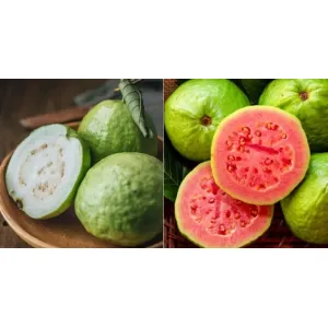 Guava(Jam)