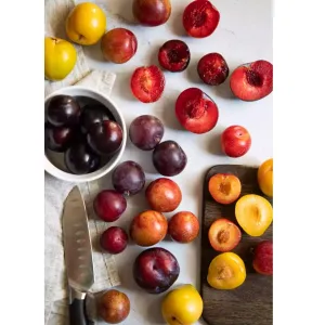 Plum