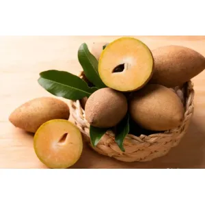 Chikoo(sapota)