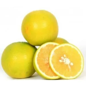 Sweet lime(mosambi)