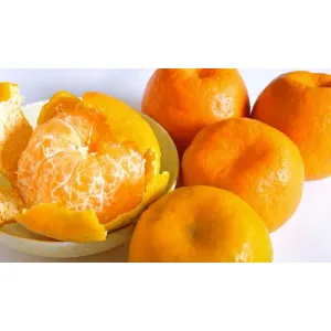 Nagpur orange